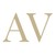 AV Equity Partners logo