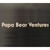 Papa Bear Ventures logo