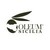 Oleum Sicilia Società Cooperativa logo
