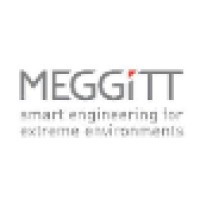 Meggitt Safety Systems logo