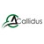 Callidus logo