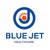 Blue Jet Healthcare Ltd logo