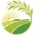 Kore International logo