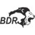 BDR Pharmaceuticals Int'l Pvt Ltd logo