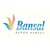 Bansal Super Market logo