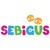 Sebigus SRL logo
