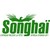 CENTRE SONGHAÏ logo