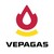 VEPAGAS logo