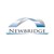 Newbridge Securities Corporation logo