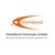 Chembond Chemicals Limited logo