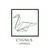 CYGNUS CONSEILS logo