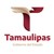 Gobierno del Estado de Tamaulipas logo