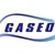 GASEO - Gestão em Saúde e Segurança Ocupacional logo