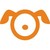 SASH - the Small Animal Specialist Hospital logo