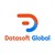Datasoft Global LLC logo