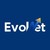Evolnet logo