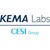 KEMA Labs logo