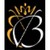 B'dvine Enterprise Ltd logo