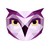 Owlnext logo
