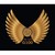 G100: Mission Million logo