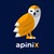 Apini Consulting logo