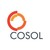 COSOL | AssetOn Group logo