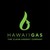 Hawaiʻi Gas logo