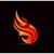 Fireball Express Courier Inc. logo
