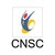 Comisión Nacional del Servicio Civil logo