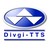 Divgi TorqTransfer Systems Ltd logo