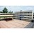 New College, Kolhapur logo