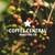 Coffee Central Roasting Co. logo