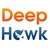 DeepHawk logo