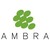 Ambra S.A. logo