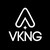 VKNG Group logo
