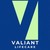 VLMS Global (Valiant LifeCare Medical Solutions) logo