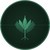 SEEK ARCANA logo