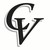Cobre Valley Regional Medical Center logo