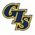 GIS logo