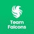 Team Falcons logo
