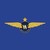 Weststar Aviation Group logo