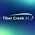 Tiber Creek Consulting, Inc. logo