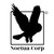 Noctua Corp logo