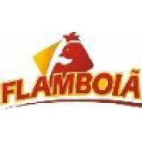 Flamboiã logo