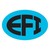 Ewing-Foley, Inc logo