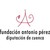 Fundación Antonio Pérez logo