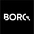 Borg Consulting logo