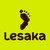 Lesaka Technologies Inc. logo