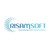 Risamsoft Inc logo
