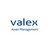 Valex Capital logo